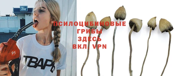 мет Армянск