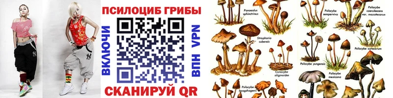Галлюциногенные грибы MAGIC MUSHROOMS  хочу   мориарти Telegram  Цивильск  МЕГА tor 